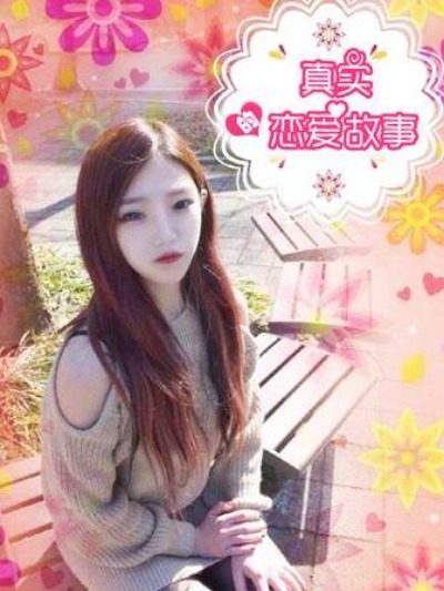 钢之炼金术师 封面